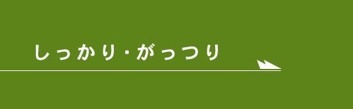 しっかり・がっつり