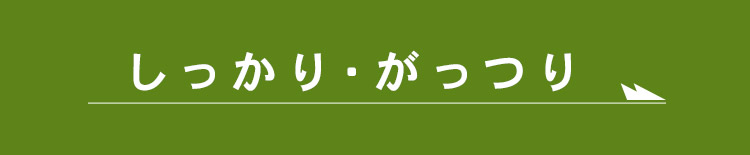 しっかり・がっつり